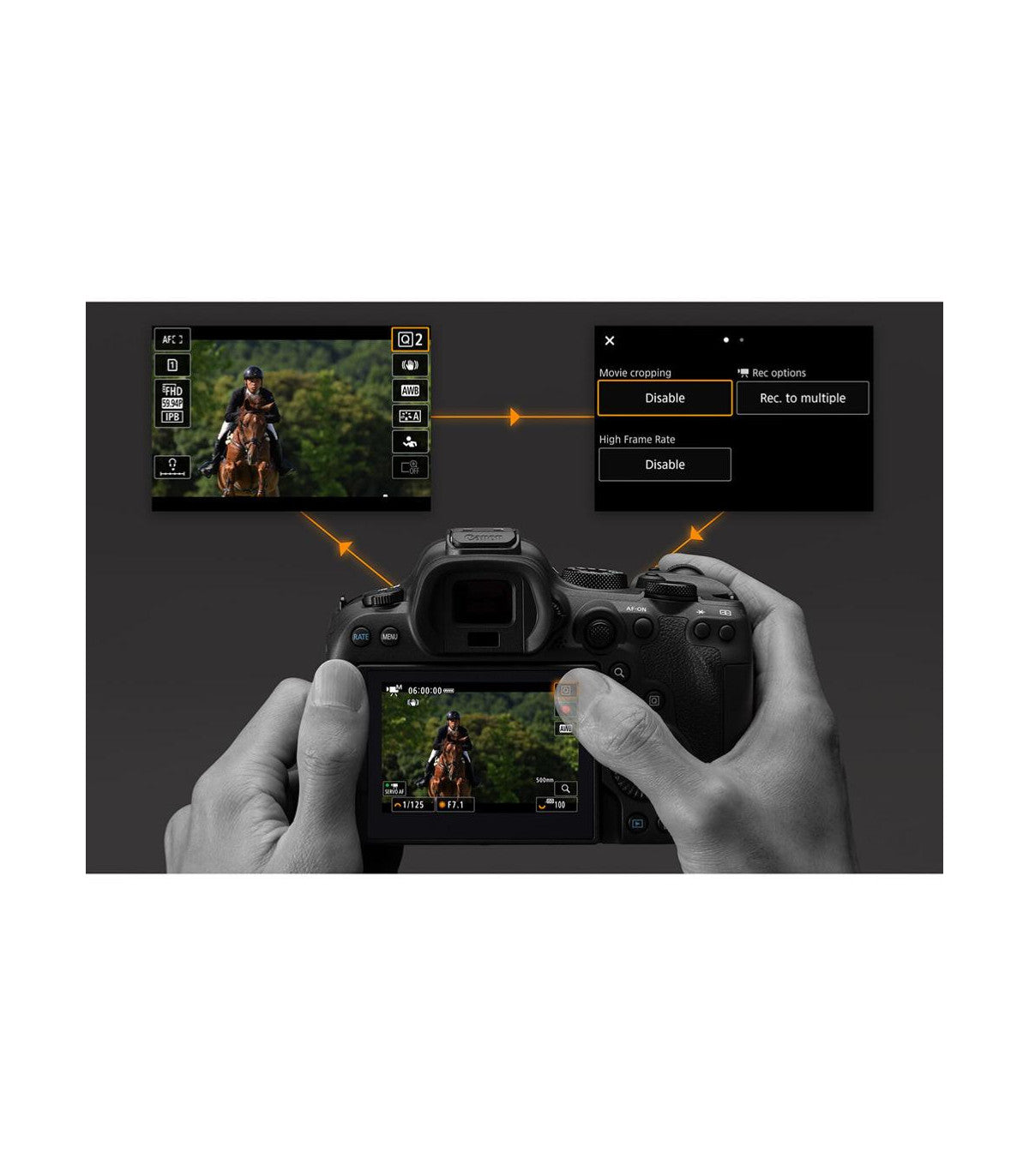 Canon EOS R6 Mark II - Cuerpo