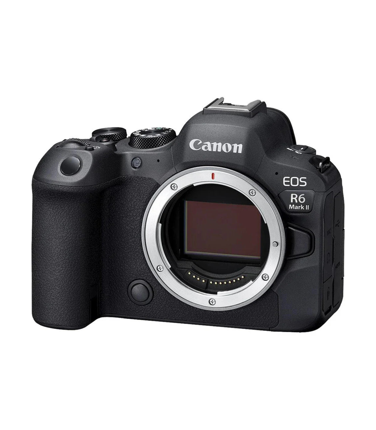 Canon EOS R6 Mark II - Cuerpo