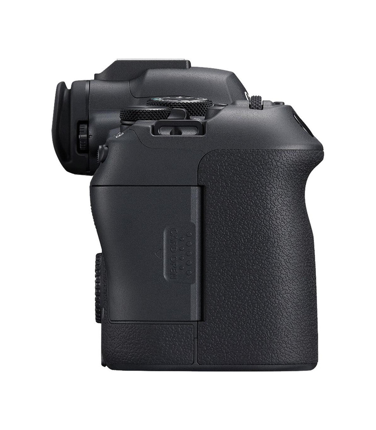 Canon EOS R6 Mark II - Cuerpo